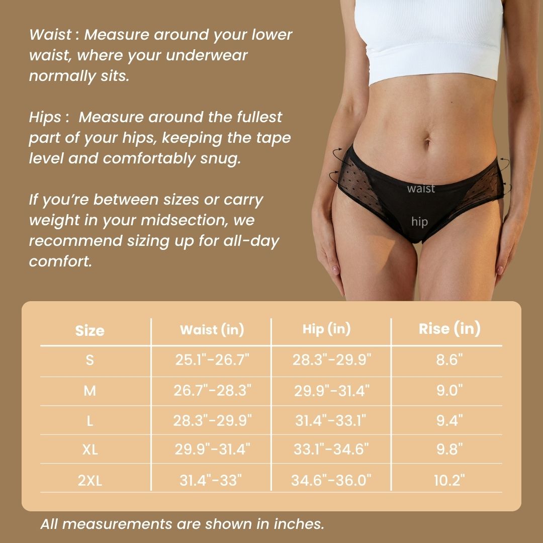 Which Size